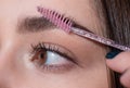 Womans eyebrows. Macro close up of brows. Beautiful girl with eyebrow brush. Girl with natural make up. Eyebrow