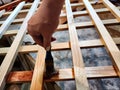 A womans hand with a bad old brush paints a wooden lattice trellis. Construction and decorative work