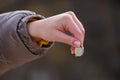 Womans hand and coin. Financial contribution concept Royalty Free Stock Photo