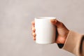 Womans hand holding a plan white blank mug cup, grey beige neutral rustric cottagecore, product design, small business Royalty Free Stock Photo