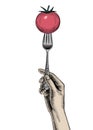 A womans hand holds a fork with a tomato