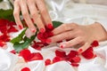 Womans hands holding bud of rose. Royalty Free Stock Photo