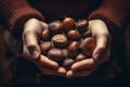 Womans hands holding a fresh chestnuts. Generative Ai