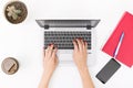 Womans hands on notebook working in clean and bright office, at home