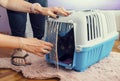 Womans hands putting cat in carrying cage to transport it to the vet for castration