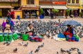 Womans sells food for pigeons around the stupa Boudhnath.