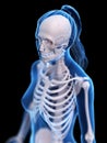 A womans skeletal thorax Royalty Free Stock Photo
