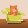 Wombat into box Royalty Free Stock Photo