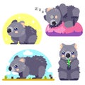 Wombat Character Set Royalty Free Stock Photo