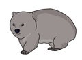 Wombat illustration vector