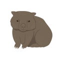 Wombat isolated on a white background. Vector graphics