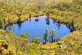 Wombat Pool - Cradle Mountain