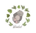 Wombat surrounded by plants isolated on white background. Hand drawn portrait of amusing wild marsupial herbivorous