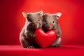 Wombats holding large red heart in front of studio background Royalty Free Stock Photo