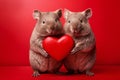 Wombats holding red heart in front of studio background Royalty Free Stock Photo