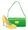 Women accessories bag and shoe.