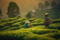Women in asia pick tea on green plantation terraces illustration. Ai generative