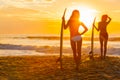 Women Bikini Surfer & Surfboard Sunset Beach Royalty Free Stock Photo
