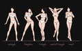 Women body shapes.