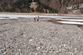 Women and boy walking on dry bottom of KlÃÂ¶ntalersee lake