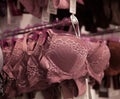 Women bras close-up. Many different bras lin gerie