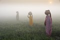 Indian women carrying pots of water walk through rice field in fog