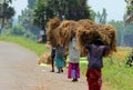 Women Carrying Straw Bundle