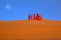 Women carrying water in the Thar desert - Rajasthan, India