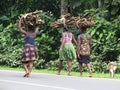 Women carrying wood