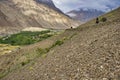 Women and children look for and gather from the slopes of the mountains near the village of Shimshal all kinds of dry burdock