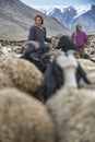 Women and children wake up in the morning to milk sheep, goats and yaks in very heavy snow conditions and very low temperatures at