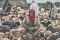 Women and children wake up in the morning to milk sheep, goats and yaks in very heavy snow conditions and very low temperatures at