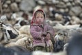 Women and children wake up in the morning to milk sheep, goats and yaks in very heavy snow conditions and very low temperatures at