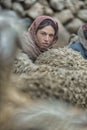 Women and children wake up in the morning to milk sheep, goats and yaks in very heavy snow conditions and very low temperatures at Royalty Free Stock Photo