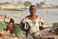 Women cleaning fish at the fish market, Dakar Royalty Free Stock Photo