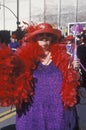 Women in the Doo Dah Parade, Pasadena California Royalty Free Stock Photo