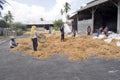 Women dried seaweed, Nusa Penida, Indonesia