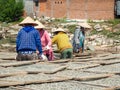 Women drying fish, traditional vietnamese food ingredient, Phu Q