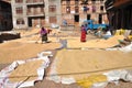 Women drying rice