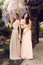 Women in elegant dresses, posing in blossom spring garden Royalty Free Stock Photo