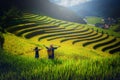 Women farmer and daughter raising arm on Rice fields terraced at Royalty Free Stock Photo