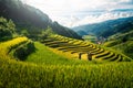 Women farmer and daughter raising arm on Rice fields terraced at sunset in Mu Cang Chai, YenBai, Vietnam