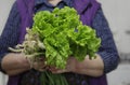 Women farmer holding vegetables