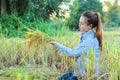 Women farmer in ripe wheat field Royalty Free Stock Photo