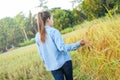 Women farmer in ripe wheat field Royalty Free Stock Photo