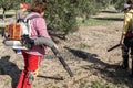 Women farmers during the campaign of harvesting of olives