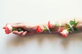 Women fashion hands of natural cosmetics, red roses, beautiful flowers