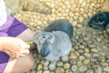 Women feeding food rabbit
