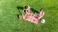 Women friends having picnic in park, young girls with dog relaxing on grass and eating healthy food outdoors, aerial view Royalty Free Stock Photo