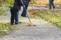 Women Gardener raking fall leaves